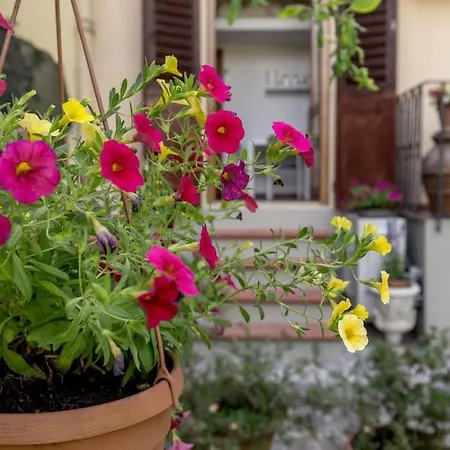 Loft Azalea Garden Wifi Air Conditioning * Florence